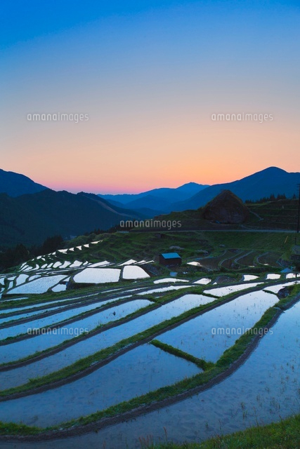 丸山千枚田の夕景
(c)YOSHITSUGU NISHIGAKI/SEBUN PHOTO