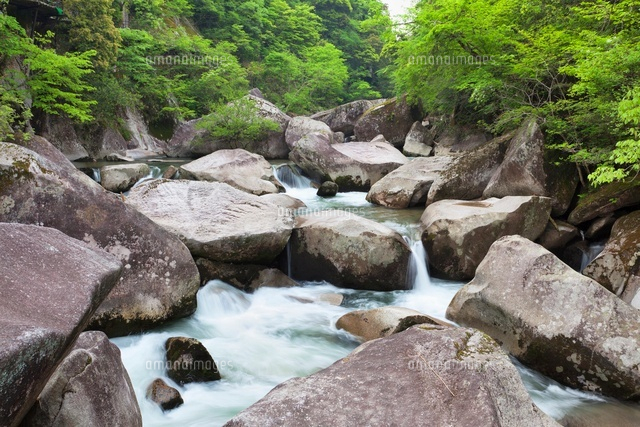 新緑の鬼の舌震
(c)YOSHITSUGU NISHIGAKI/SEBUN PHOTO