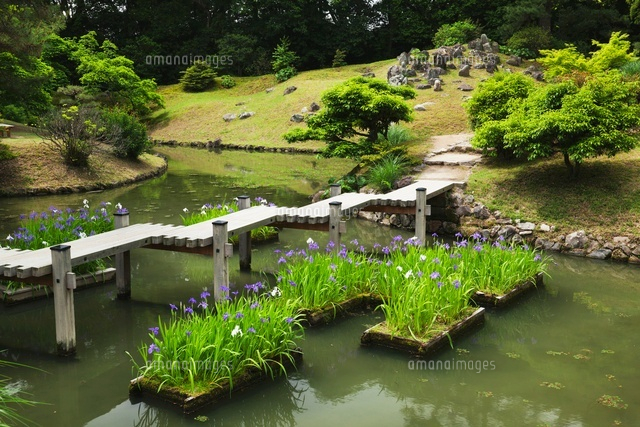 アヤメ咲く栗林公園
(c)YOSHITSUGU NISHIGAKI/SEBUN PHOTO