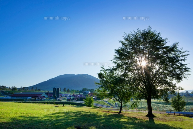 朝の蒜山高原
(c)YOSHITSUGU NISHIGAKI/SEBUN PHOTO