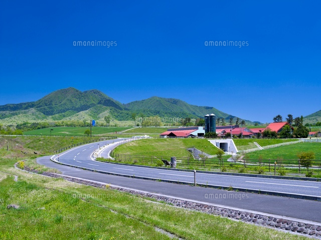 道路と蒜山高原
(c)YOSHITSUGU NISHIGAKI/SEBUN PHOTO