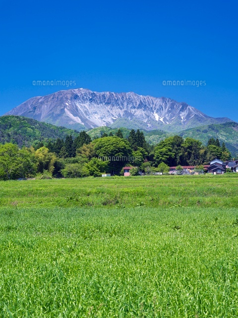 新緑の大山
(c)YOSHITSUGU NISHIGAKI/SEBUN PHOTO