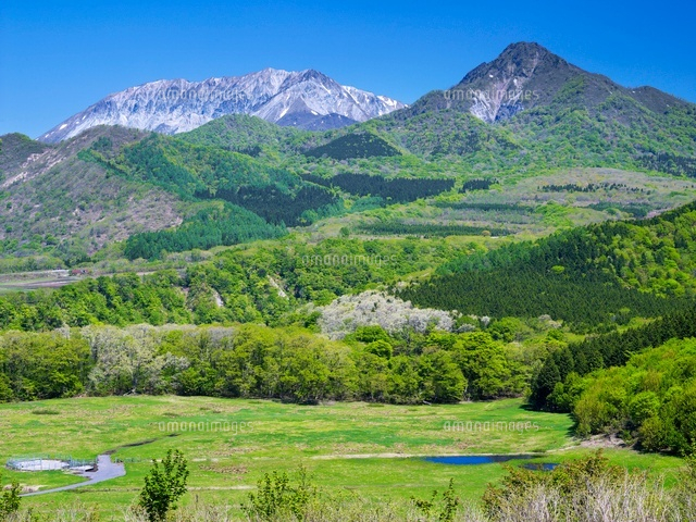 新緑の大山と烏ヶ山
(c)YOSHITSUGU NISHIGAKI/SEBUN PHOTO