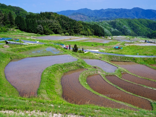 山王寺の棚田
(c)YOSHITSUGU NISHIGAKI/SEBUN PHOTO