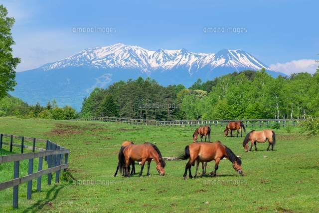 新緑の開田高原より御岳と木曽馬
(c)YOSHITSUGU NISHIGAKI/SEBUN PHOTO