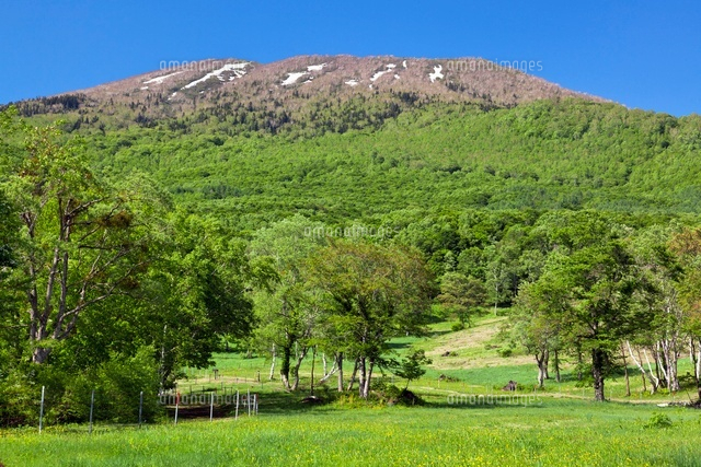 新緑の笹ヶ峰高原と三田原山
(c)YOSHITSUGU NISHIGAKI/SEBUN PHOTO