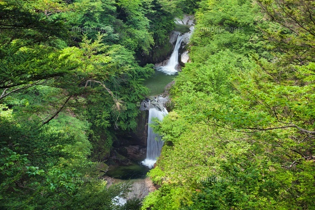 尾白川渓谷 神蛇滝
(c)YOSHITSUGU NISHIGAKI/SEBUN PHOTO