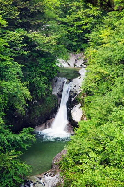 尾白川渓谷 神蛇滝
(c)YOSHITSUGU NISHIGAKI/SEBUN PHOTO