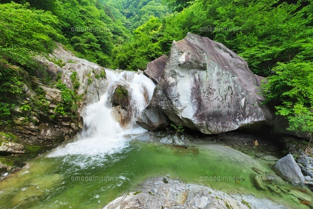 尾白川渓谷 千ヶ淵
(c)YOSHITSUGU NISHIGAKI/SEBUN PHOTO