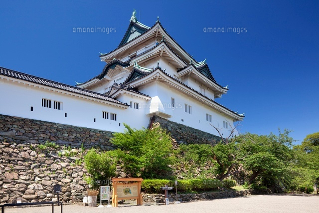 和歌山城
(c)YOSHITSUGU NISHIGAKI/SEBUN PHOTO