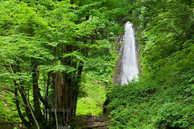 雨滝
(c)YOSHITSUGU NISHIGAKI/SEBUN PHOTO