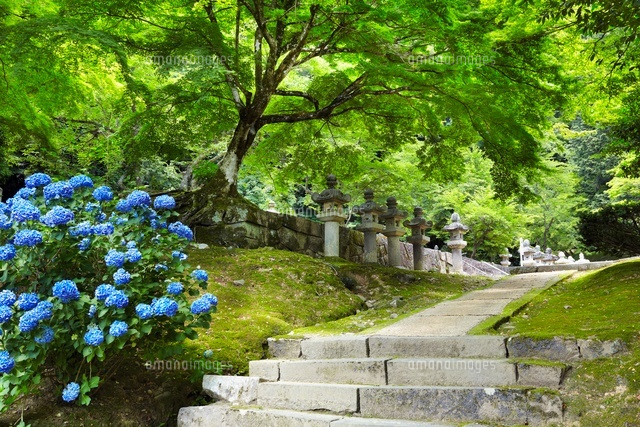 鳥取藩主池田家墓所
(c)YOSHITSUGU NISHIGAKI/SEBUN PHOTO