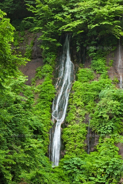 布引の滝
(c)YOSHITSUGU NISHIGAKI/SEBUN PHOTO