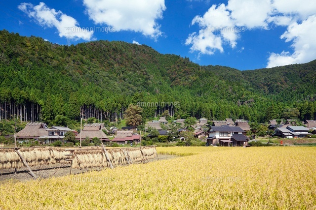秋の田園と茅葺きの里
(c)YOSHITSUGU NISHIGAKI/SEBUN PHOTO