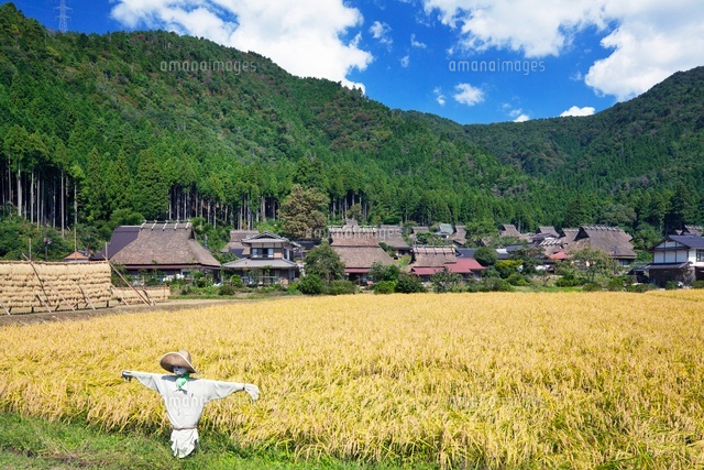 秋の田園と茅葺きの里
(c)YOSHITSUGU NISHIGAKI/SEBUN PHOTO