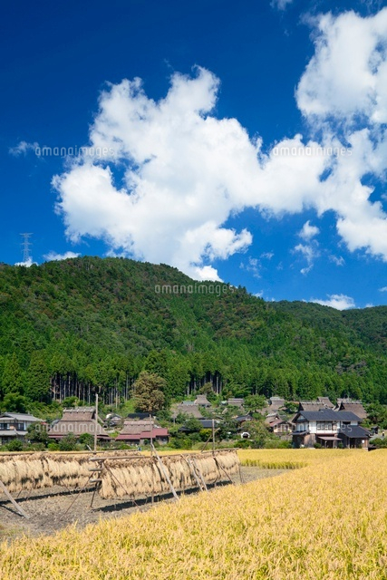 秋の田園と茅葺きの里
(c)YOSHITSUGU NISHIGAKI/SEBUN PHOTO