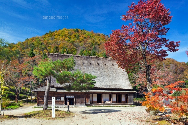 秋の白川郷
(c)YOSHITSUGU NISHIGAKI/SEBUN PHOTO