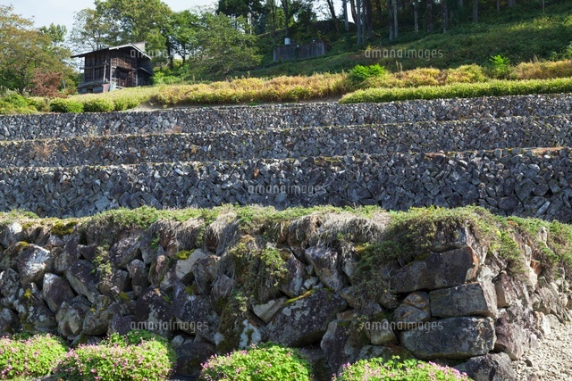 石積の棚田
(c)YOSHITSUGU NISHIGAKI/SEBUN PHOTO