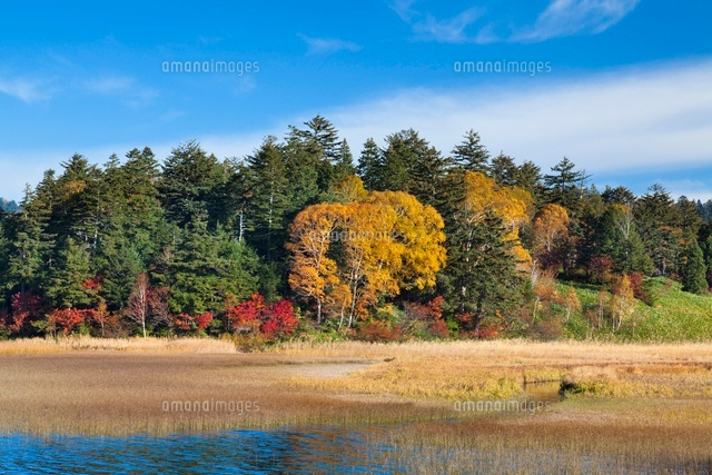秋の尾瀬沼と大江川湿原
(c)YOSHITSUGU NISHIGAKI/SEBUN PHOTO