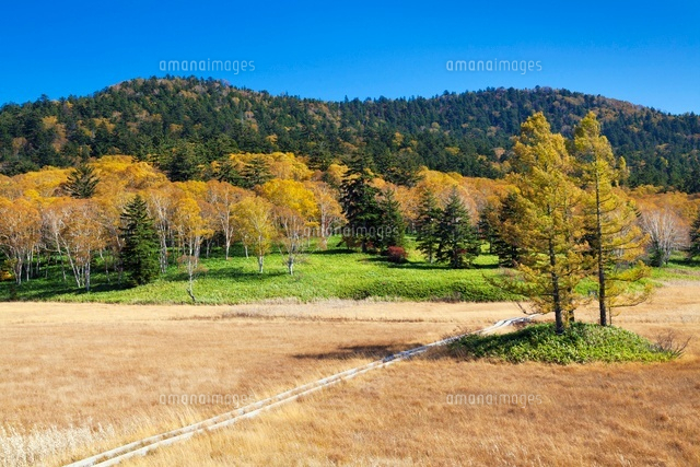 秋の大江川湿原
(c)YOSHITSUGU NISHIGAKI/SEBUN PHOTO