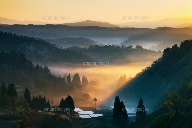 朝霧と棚田
(c)YOSHITSUGU NISHIGAKI/SEBUN PHOTO