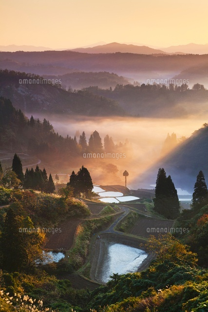 朝霧と棚田
(c)YOSHITSUGU NISHIGAKI/SEBUN PHOTO