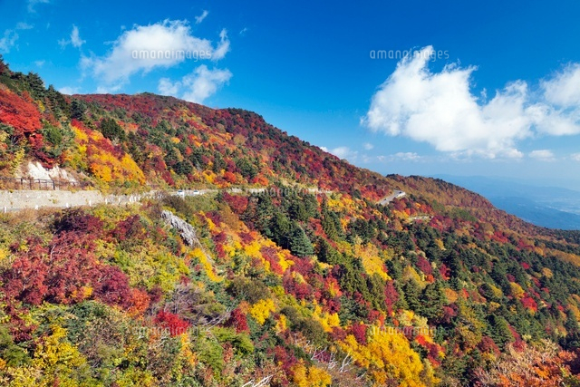 紅葉と磐梯吾妻スカイライン
(c)YOSHITSUGU NISHIGAKI/SEBUN PHOTO