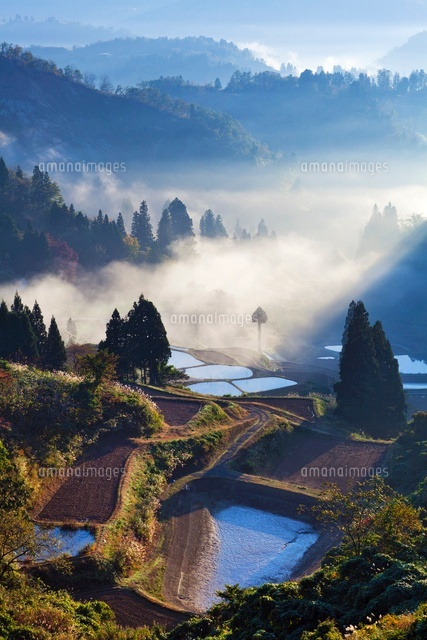 朝霧と棚田
(c)YOSHITSUGU NISHIGAKI/SEBUN PHOTO
