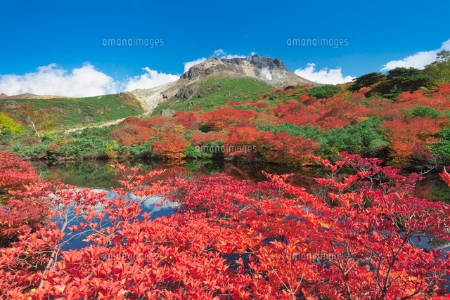 秋のひょうたん池と茶臼岳
(c)YOSHITSUGU NISHIGAKI/SEBUN PHOTO