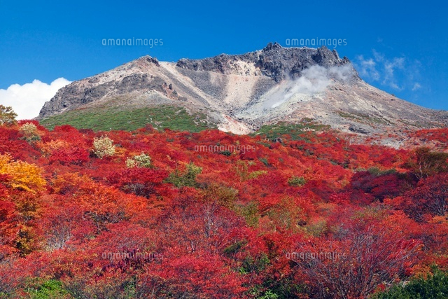 秋の姥ヶ平より茶臼岳
(c)YOSHITSUGU NISHIGAKI/SEBUN PHOTO