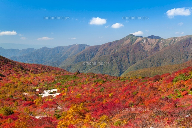 秋の姥ヶ平.那須岳
(c)YOSHITSUGU NISHIGAKI/SEBUN PHOTO