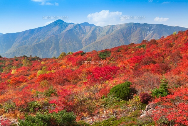 秋の姥ヶ平.那須岳
(c)YOSHITSUGU NISHIGAKI/SEBUN PHOTO