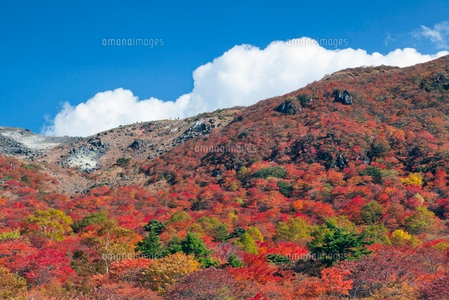 那須岳の紅葉
(c)YOSHITSUGU NISHIGAKI/SEBUN PHOTO