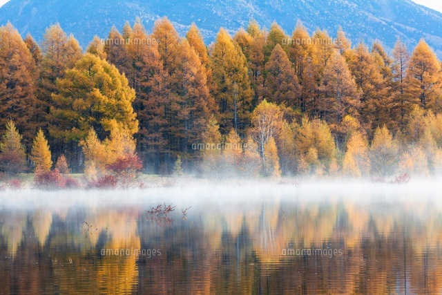 朝霧の小田代原と紅葉
(c)YOSHITSUGU NISHIGAKI/SEBUN PHOTO