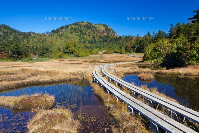 秋の四十八池と裏志賀山
(c)YOSHITSUGU NISHIGAKI/SEBUN PHOTO