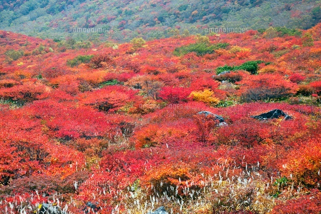 那須岳の紅葉
(c)YOSHITSUGU NISHIGAKI/SEBUN PHOTO