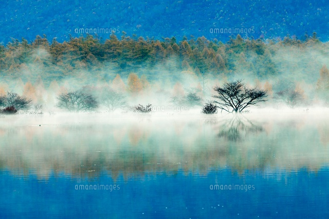 朝霧の小田代原と紅葉
(c)YOSHITSUGU NISHIGAKI/SEBUN PHOTO