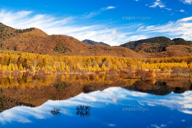 紅葉の小田代原
(c)YOSHITSUGU NISHIGAKI/SEBUN PHOTO