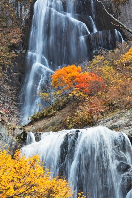 紅葉と安の滝
(c)YOSHITSUGU NISHIGAKI/SEBUN PHOTO