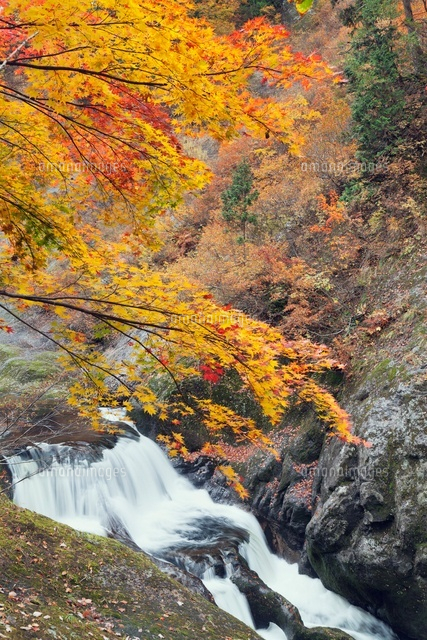 秋の小又峡.化ノ穴滝
(c)YOSHITSUGU NISHIGAKI/SEBUN PHOTO
