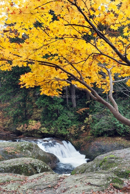 秋の小又峡
(c)YOSHITSUGU NISHIGAKI/SEBUN PHOTO