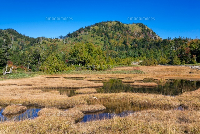 秋の四十八池と裏志賀山
(c)YOSHITSUGU NISHIGAKI/SEBUN PHOTO