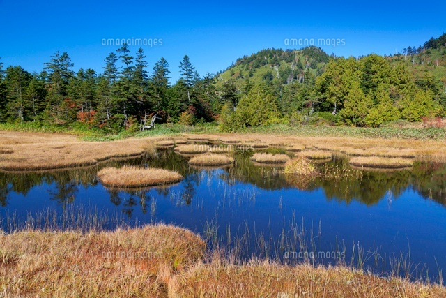 秋の四十八池と裏志賀山
(c)YOSHITSUGU NISHIGAKI/SEBUN PHOTO