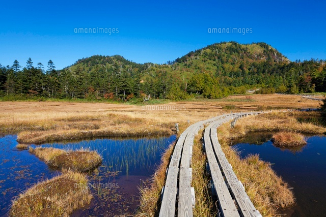 秋の四十八池と裏志賀山
(c)YOSHITSUGU NISHIGAKI/SEBUN PHOTO