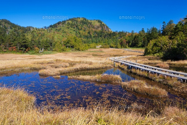 秋の四十八池と裏志賀山
(c)YOSHITSUGU NISHIGAKI/SEBUN PHOTO