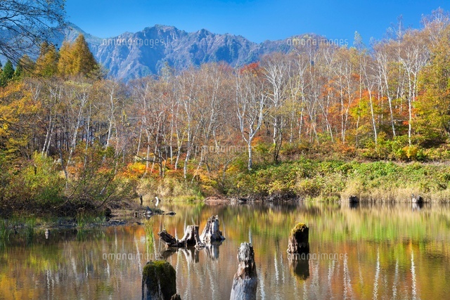 紅葉の天池と鳥甲山
(c)YOSHITSUGU NISHIGAKI/SEBUN PHOTO