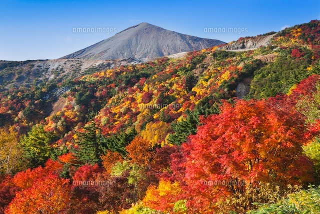 紅葉と吾妻小富士
(c)YOSHITSUGU NISHIGAKI/SEBUN PHOTO