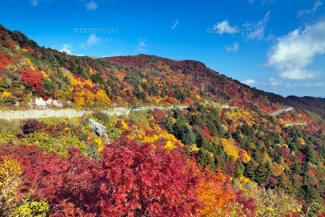 紅葉と磐梯吾妻スカイライン
(c)YOSHITSUGU NISHIGAKI/SEBUN PHOTO