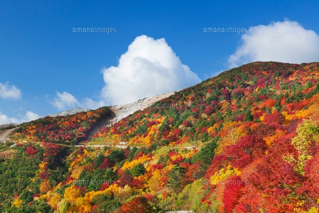 紅葉と磐梯吾妻スカイライン
(c)YOSHITSUGU NISHIGAKI/SEBUN PHOTO