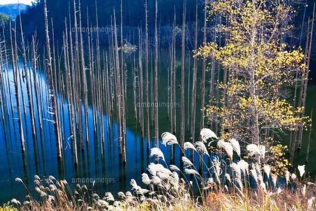 秋の自然湖
(c)YOSHITSUGU NISHIGAKI/SEBUN PHOTO